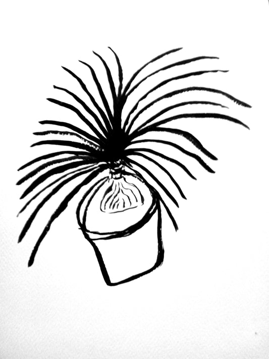 Dibujo Planta en tinta china.